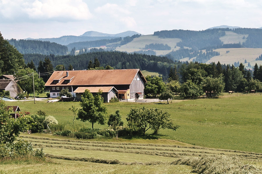 Dekoratives Bild Dekoratives Bild