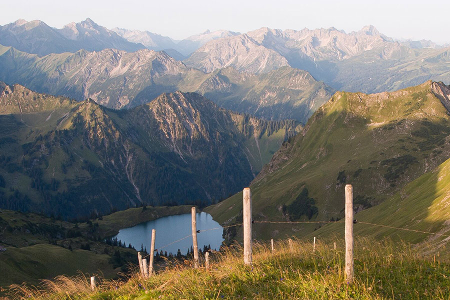 Dekoratives Bild Dekoratives Bild