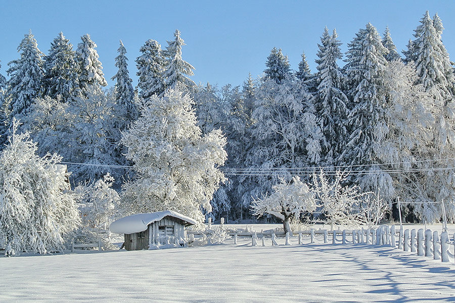 Dekoratives Bild Dekoratives Bild